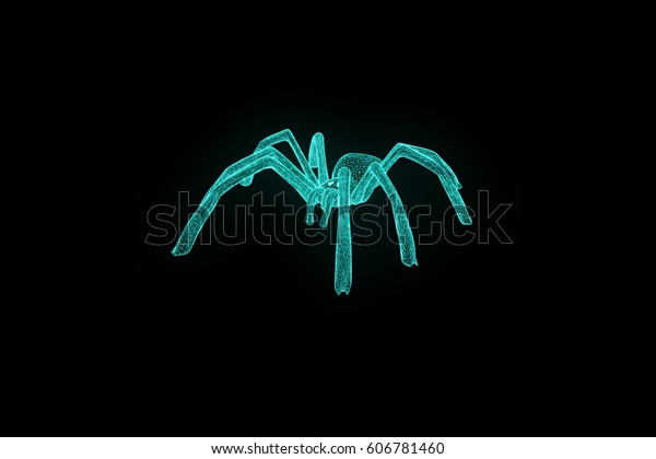 Spider Hologram Wireframe Style Nice 3d Stock Illustration 606781460 ...