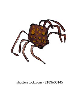 Spider Illustration, Watercolor. Spider Arachnid Animal Insect Scary Fear Horror. Holiday Danger, Bug, Halloween Spooky Spooky Fear, Poison, Dangerous Spiders, Tarantula Web.