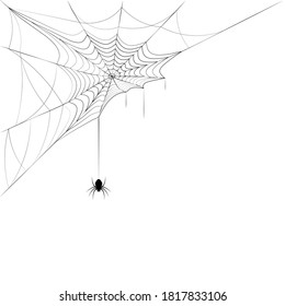 Spider On Corner Web. Design Element For Halloween. Black And White