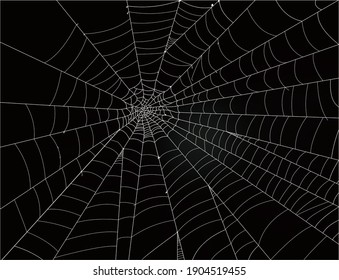 Spider Web Background With Simple Black And White Concept