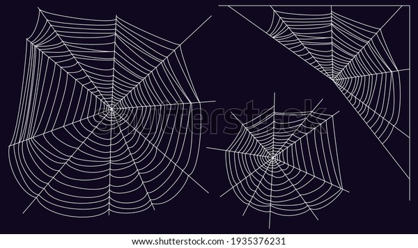 spider web, white mesh on a dark\
background. bitmap copy, illustration. collection of\
icons.
