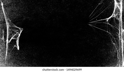 Spiderwebs Isolated On Black Grunge Background. Cobweb.  Halloween Party Holiday Design. Texture Of Spider Web. Spooky Halloween Black And White Decoration. Gothic Style. Copy Space For Your Text