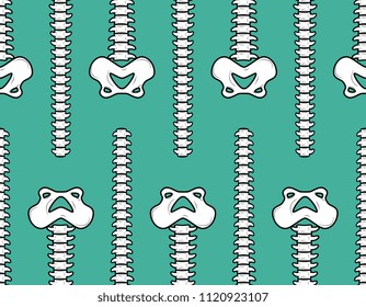 Spine and pelvis seamless pattern. Bone ornament. Medical anatomy background