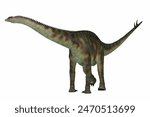 Spinophorosaurus Armored Dinosaur 3d illustration - Spinophorosaurus was a herbivorous sauropod dinosaur that lived in the Jurassic Period of Niger, Africa.