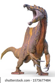 Spinosaurus Front View White Background 3d 스톡 일러스트 1573677487 ...