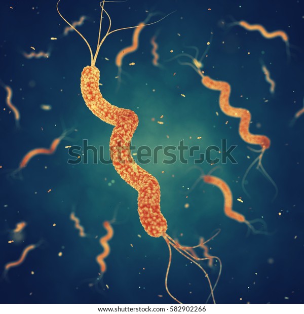 Spirillum bacteria is\
the cause of stomach ulcers or bacterial diarrhea , Germ infection\
, 3d\
illustration