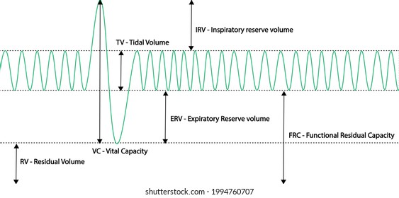 Spirometry Curve Analyses Illustration Spirometry Curves Stock ...