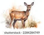 splash colorful watercolor illustration of animal, part of collection. Red deer, doe, roe elk