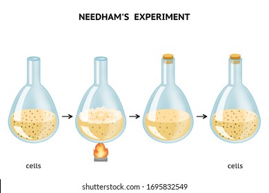 needham experiments