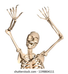 Skeleton Reaching Images, Stock Photos & Vectors | Shutterstock