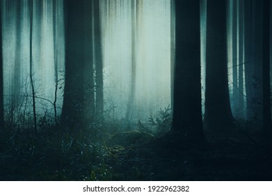 A spooky concept of trees silhouetted in a dark spooky forest in winter. With a grunge, artistic, edit - Powered by Shutterstock