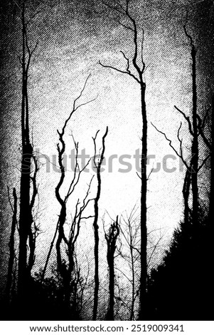 Spooky forest with dead trees. Bare trees with branches on grunge background. Halloween party design