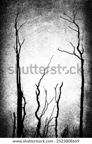 Spooky forest with dead trees. Bare trees with branches on grunge background. Vertical black and white illustration