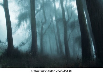 spooky-magical-forest-english-countrysid