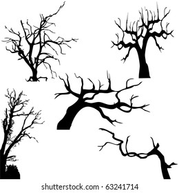 Spooky Tree Silhouette Isolated On White