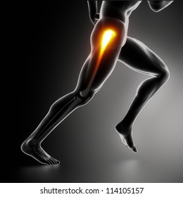 Sports Hip Injury Koncept