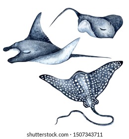 Spotted eagle ray, stingray, manta ray. Watercolor set of sea and ocean illustrations on a white background. Cute cartoon underwater creatures.