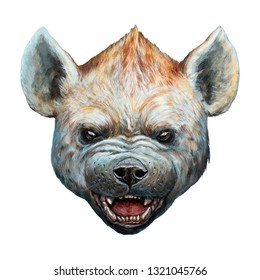 Spotted hyena portrait. Hyena roaring illustration.