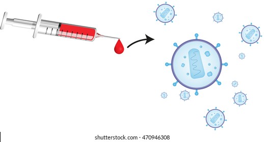 The Spread of HIV