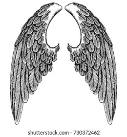 Spread Set Wings Hand Drawn Etched Stock Illustration 730372462