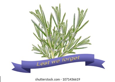 A Sprig Of Rosemary With Ribbon For Anzac Day Celebration