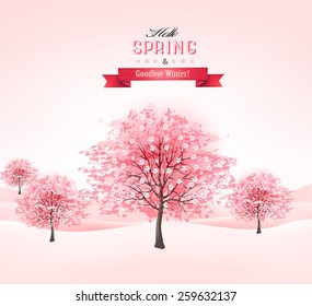 Spring background with blossoming sakura trees. 