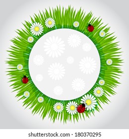 Spring background with grass chamomile and ladybugs