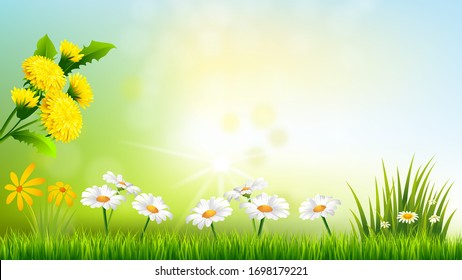 spring background with Green grass and flowers Frame with copy space