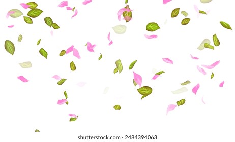 Spring background, Leaves and Petals Falling on White Background