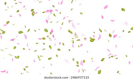 Spring background, Leaves and Petals Falling on White Background