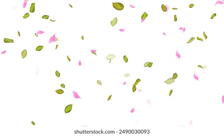 Spring background, Leaves and Petals Falling on White Background