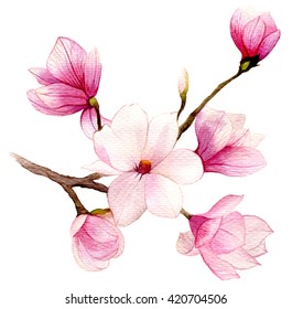 Spring Background With Watercolor Magnolia Flower