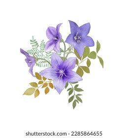 Spring Balloon flowers   leaves bouquet isolated white  Blue star flower  Platycodon flower watercolor botanical illustration  Wildflowers blossom summer arrangement