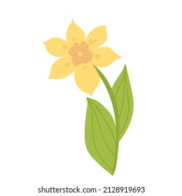 Spring Botanical Illustration, Icon Doodle Yellow Daffodils With Green Leaves. Flower Narcissist Flat, Jonquil