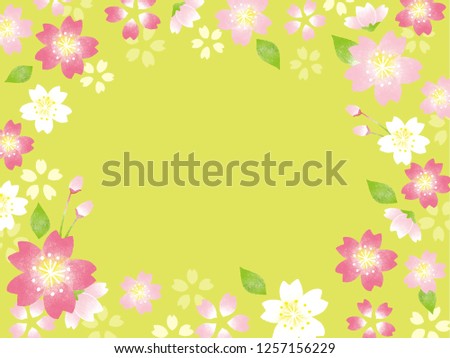 Spring Cherry blossoms background