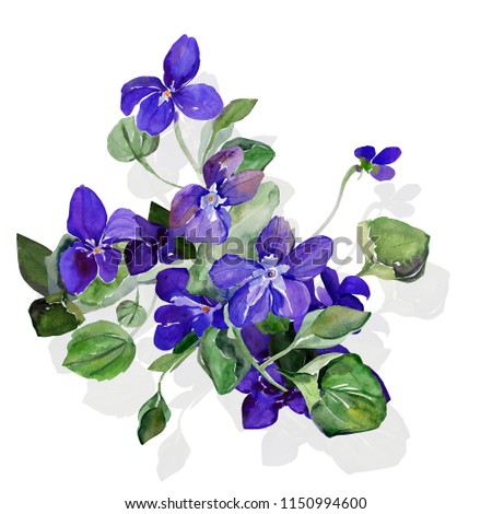 Spring field flowers pattern.