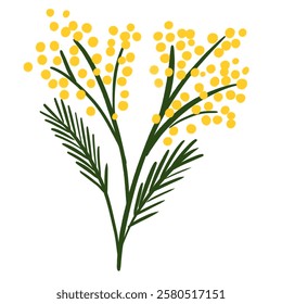 Spring first blooming flower yellow mimosa with leaves. Hand drawn illustration, good for print, poster, card or banner.
