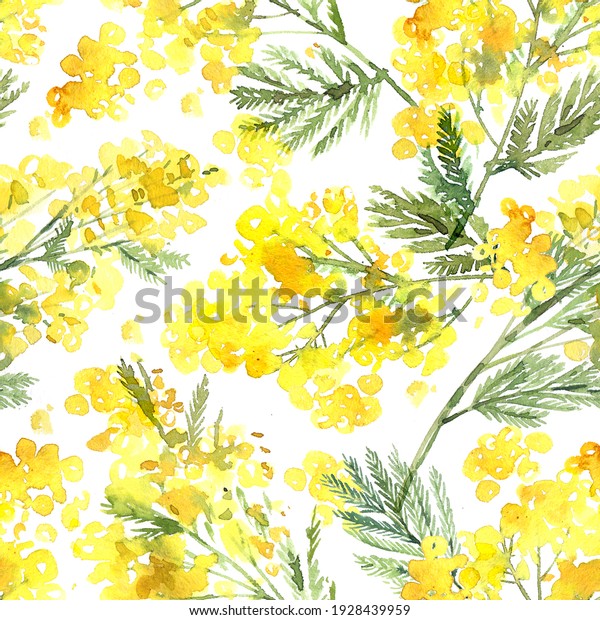 Spring floral pattern with branches of bright yellow mimosa painted in watercolor. Hand-drawn delicate floral background in sketch botany style. Texture for fabric, wrapping paper, postcards.