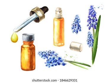 Spring Muscari Flower And Essential Oil Bottle Set. Hand Drawn Watercolor Illustration, Isolated On White Background