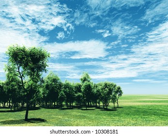 Spring scenery with birch-trees