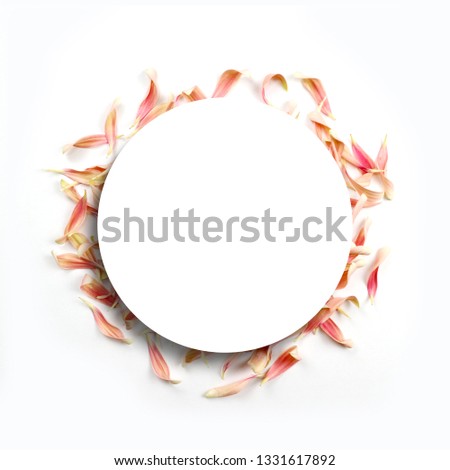 Similar – Round frames with tropical flowers and leaves