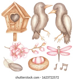 Spring Set: Starlings, Birdhouse, Spring Branch With Pink Flowers, Nest With Eggs, Dragonfly, Feathers. Isolated Elements On A White Background. Watercolor Hand Drawing.