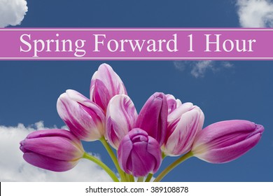 Spring Time Change, Some Tulips With Blue Background And Text Spring Forward 1 Hour