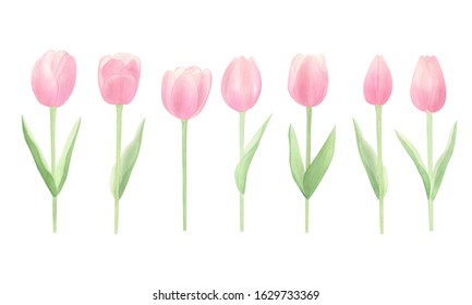 Spring tulip flowers watercolor set. Watercolor hand drawn tulips isolated on white background. Perfect for spring cards design, invitation, pattern, wrapping papper. Happy mothers day.  - Shutterstock ID 1629733369