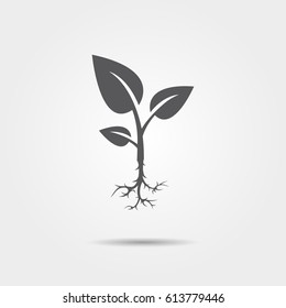 Sprout With Root Icon On Gray Background