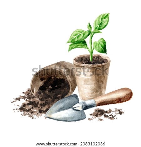 Sprouts ready for planting, Spring works in the garden. Hand drawn watercolor illustration isolated on white background