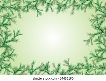 Spruce branches frame