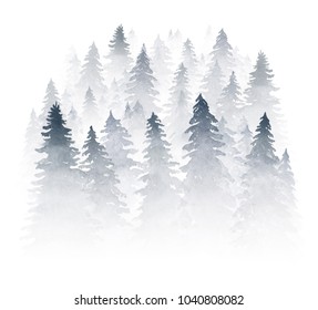 Spruce Forest Shrouded In Mist. Watercolor Illuatration Isolated On White Background.