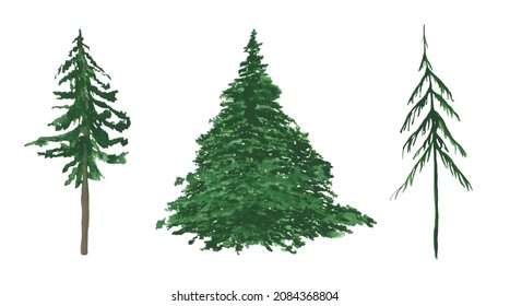 Spruce, Pine, And Scotch Fir Isolated On A White Background. Watercolor Set Of 3 Silhouettes Of Evergreen Plants. Christmas Tree Clipart. Landscape Scene Objects. Hand-drawn Pine Trees Illustration.