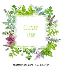 Square Banner With Watercolor Kitchen Herbs And Plants, Hand Drawn Illustration